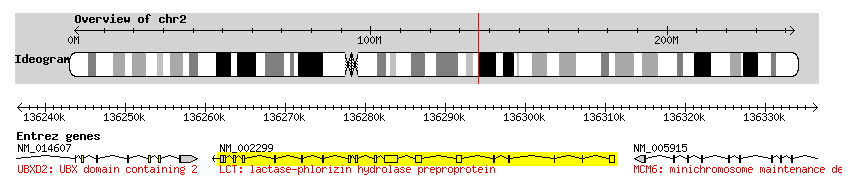 Gene della lattasi (LCT) (http://hgdp.uchicago.