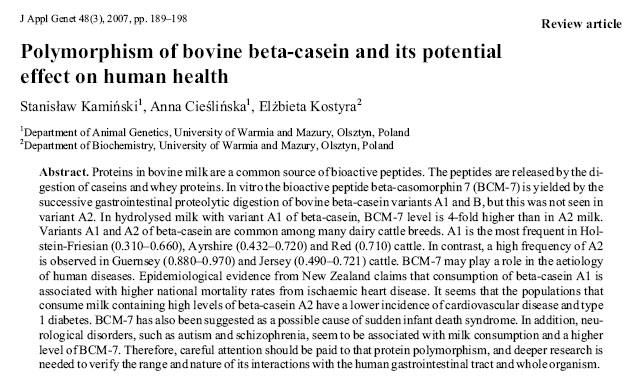varianti A 1 e A 2 di β-caseina alterazione di un sito di taglio enzimatico peptide b-casomorfina 7 prodotto in