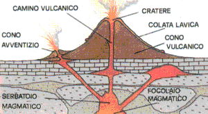 Gli edifici vulcanici si presentano con: Edifici vulcanici una estremità aperta in superficie (cratere), un condotto cilindrico o quasi (vulcani centrali o areali), oppure una apertura lineare della