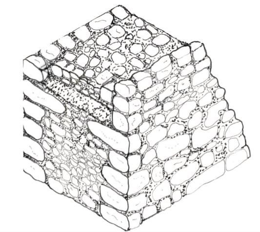 I filari sono tendenzialmente orizzontali e il nucleo è composto da pietre sbozzate più piccole ma disposte