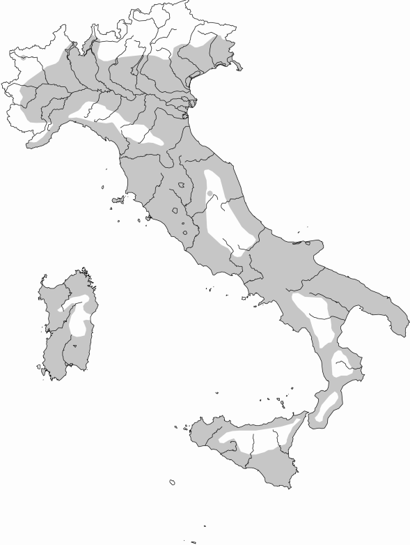PRESENZA IN ITALIA Il Beccaccino nidifica in Italia in modo irregolare (circa 100 casi di nidificazione all anno) e del tutto occasionale (casi recenti in Piemonte, Lombardia ed Emilia-Romagna),
