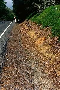 da qualche anno in Umbria può capitare di vedere questo 2.