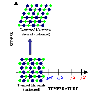 Transizioni di fase: temperatura e stress Effetto Joule + pesi Cambiamento di fase indotto dalla sola variazione di temperatura: Austenite- Martensite non deformata.