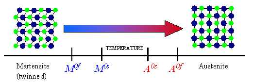 Sono individuati gli intervalli di temperatura dei cambiamenti di fase.