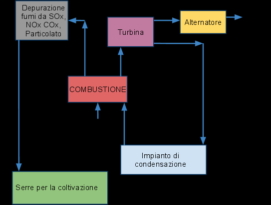 direttamente il biogas bisognerà prima dotare il motore di un impianto di depurazione fumi poiché dopo la combustione saranno presenti impurezze che potrebbero risultare dannose per l ambiente.