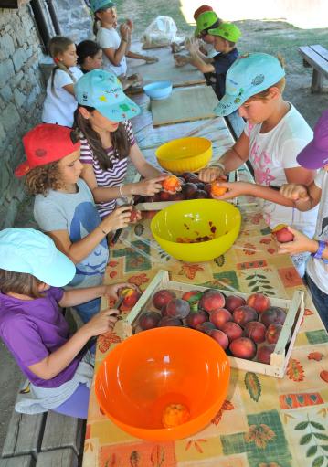 LA VITA IN FATTORIA Dall agricoltura biologica alla cucina tradizionale DESCRIZIONE Un contatto diretto con una realtà rurale in una vera azienda agricola attenta al biologico, si parteciperà alle