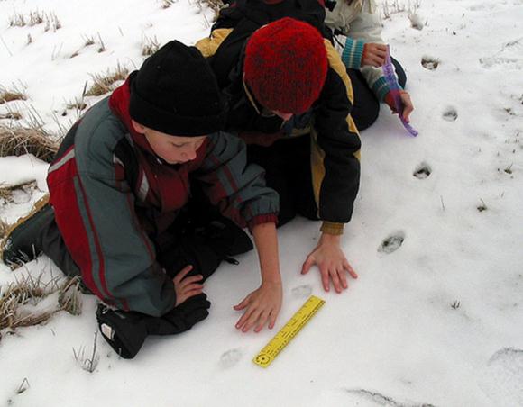 SNOW TRACKING TRACCE SULLA NEVE, CHI CI HA MESSO LO ZAMPINO?