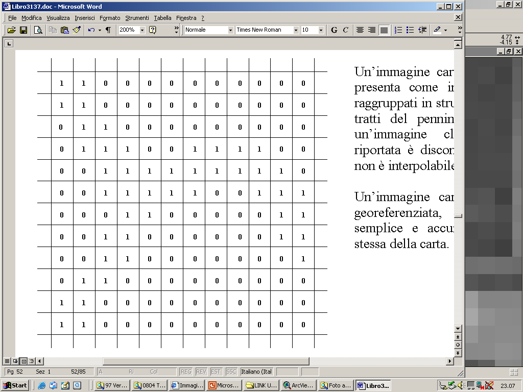 efficienti; immagini di aree relativamente grandi hanno quindi una dimensione contenuta.