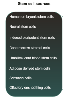 Le cellule