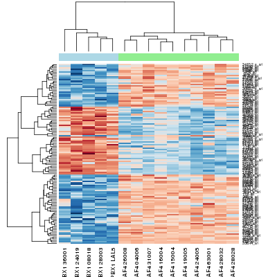 Illumina Genomic Platform Methylation Analysis