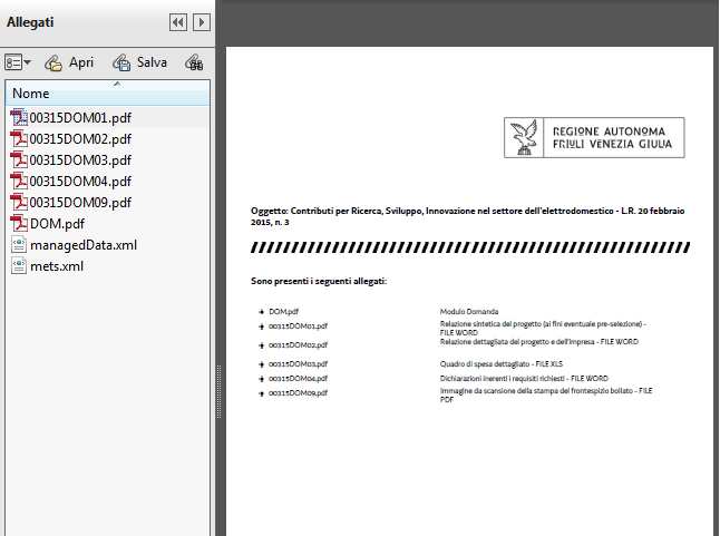 diversi curriculum), si dovrà predisporre e caricare un UNICO file (unica scansione pdf). Non è possibile caricare file in formato compresso (*.