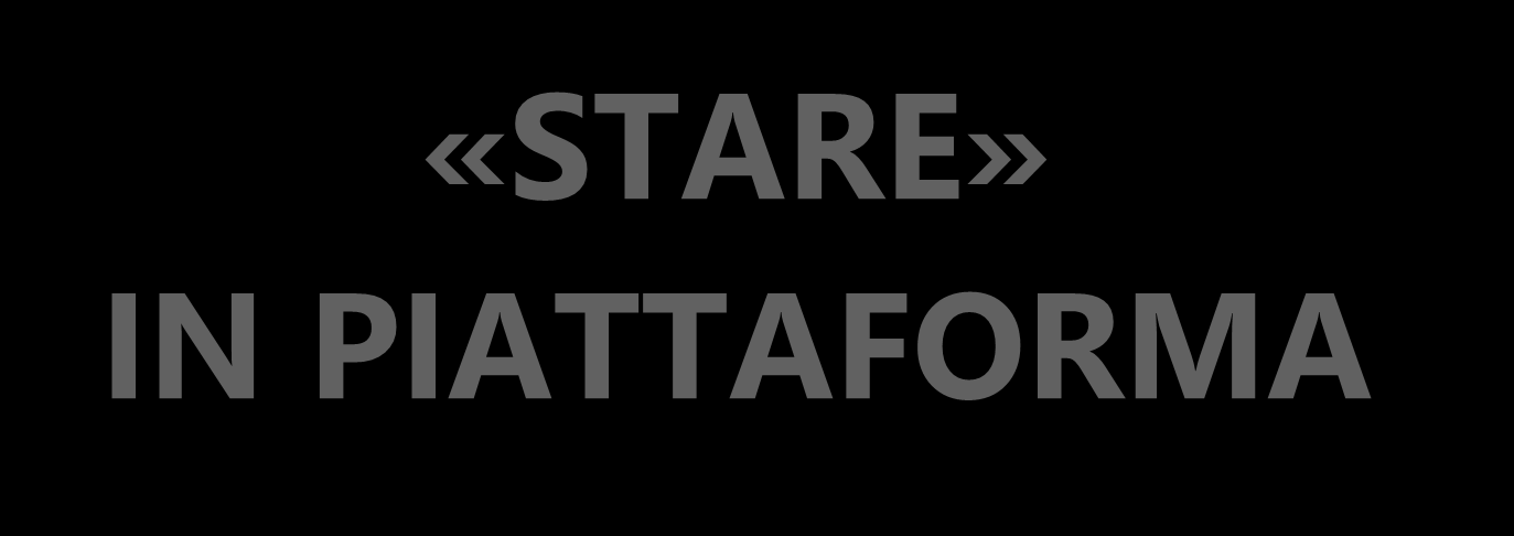 «STARE» IN PIATTAFORMA massa critica per organizzare i fattori produttivi 300 imprese 11.000 addetti (San Giorgio di N.