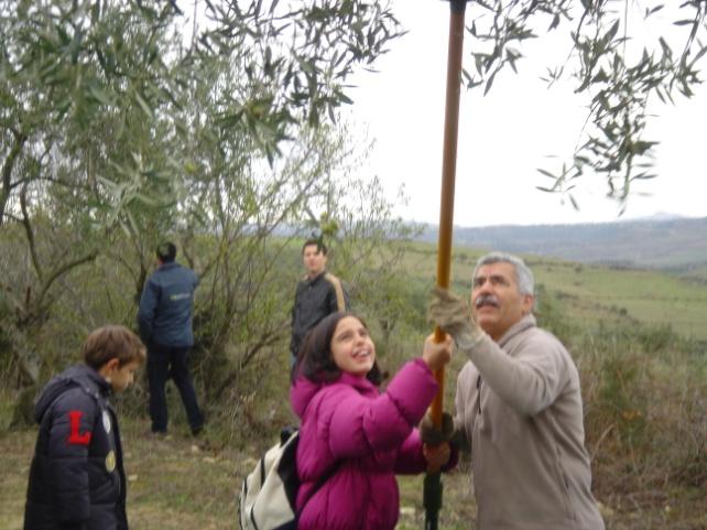 La forza del progetto L approccio