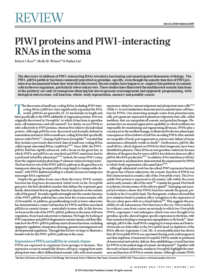 Gen 2014 pirna = (piccole molecole di RNA di circa 30 nucleotidi, che legano le proteine Piwi inducendo silenziamento di retrotrasposoni e dei geni durante la formazione dello spermatozoo) La