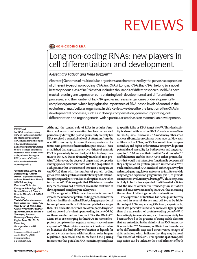 Gen 2014 Il numero di specie di lncrna aumenta nei genomi di organismi evolutivamente complessi, il che sottolinea l'importanza dei livelli di controllo da RNA nell evoluzione degli organismi