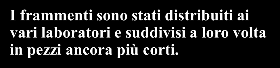 volta per tutte l intera sequenza nucleotidica del genoma umano.