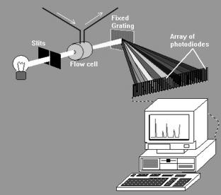 Un PC a cui è collegata la schiera di diodi registra in continuo gli interi spettri che vengono registrati in ogni istante durante il flusso dell eluente.