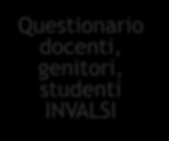 LE FONTI DEI DATI Questionario scuola Dati