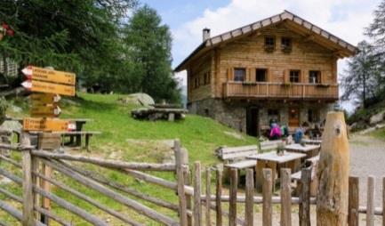 6) Malga Äußere Schwemmalm (2. 47m) PRACUPOLA Baita più bella dell Alto Adige 20 3 Prodotti: specialità alle erbe selvatiche, diversi formaggi e prodotti lattici, piatti tradizionali di malga.