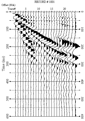 Fig. 14 Sismogrammi relativi all indagine Sismica MASW