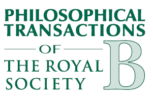 The DNA methylation state of specific genes in the 5-HT system (serotonin transporter) and HPA axis