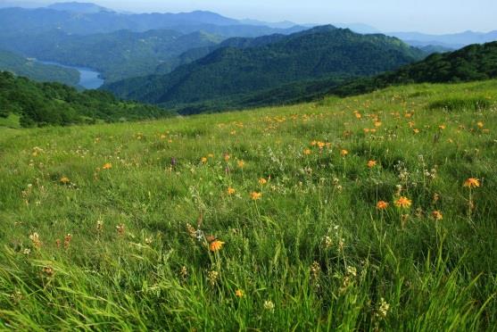 php Ambito territoriale di attività: (Comuni del Parco) Busalla, Crocefieschi, Fascia, Gorreto, Montebruno, Propata, Rondanina, Ronco Scrivia, Savignone, Torriglia, Valbrevenna, Vobbia.