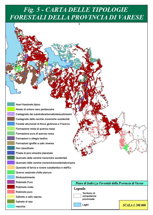 Pagina 59 di 165 vegetale spontanea di notevole interesse naturalistico (grazie al livello di protezione e al basso grado di urbanizzazione).