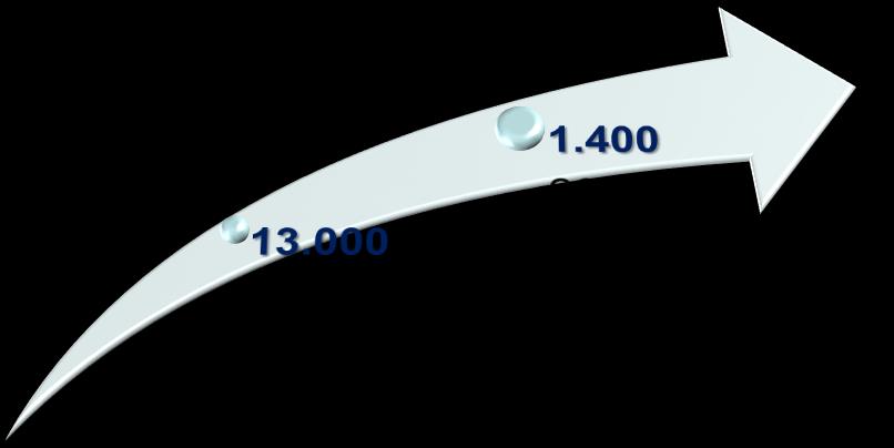 sono circa 320 Di cui circa 170 operatori integrati verticalmente servono