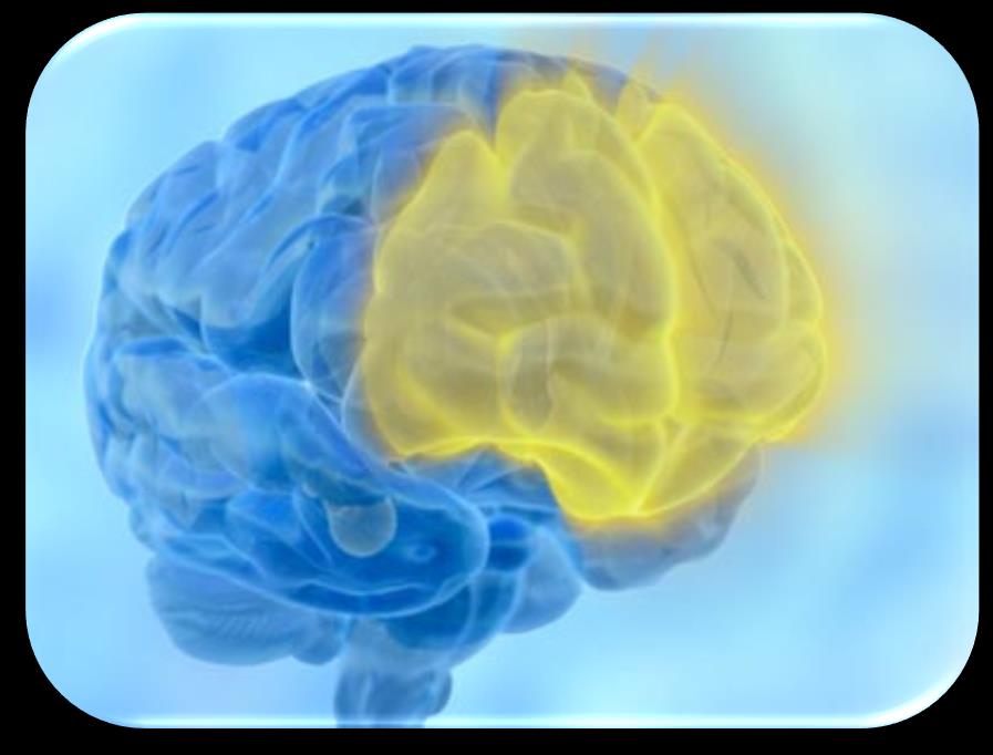 Corteccia prefrontale La corteccia prefrontale media gli aspetti emotivi e cognitivi del comportamento, per questo è fondamentale nelle