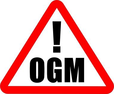 I Presunti Rischi Non esistono studi o report che documentino un qualche danno alla popolazione derivato da cibi OGM.