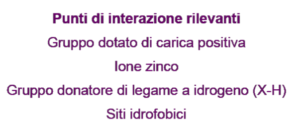 Modello teorico del sito di legame e del meccanismo d azione dell ACE Modello proposto da Cushman e Ondetti, 1979 Requisiti strutturali e classificazione degli ACE inibitori 1.