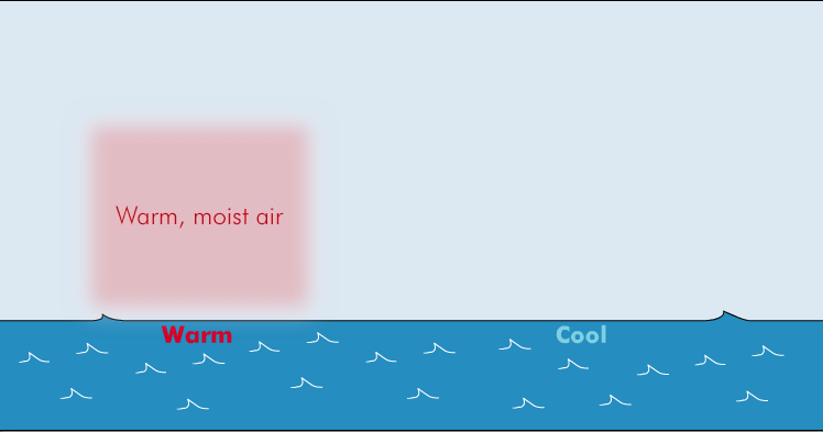 Aria calda e umida Nebbia da avvezione T = 10 T d = 08 T = 06 CALDO FREDDO E accompagnata da venti che non superano mai i 15