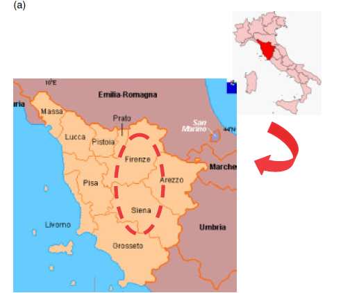 Studio comparativo dei profili fenolici di oli DOP Italiani e Spagnoli A. Carrasco-Pancorbo 1, S. Cortacero-Ramírez 1, A. M. Gómez-Caravaca 1, L. Cerretani 2, A. Bendini 2, A. Segura-Carretero 1, A.