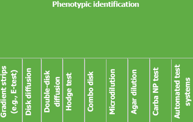 Perchè la genotipizzazione soprattutto in caso di sospette condizioni epidemiche i test molecolari permettono l identificazione dei determinanti di resistenza in gioco (AmpC, ESBL,