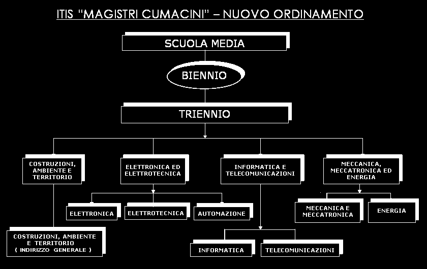 ARTICOLAZIONE DEI CORSI DI STUDIO Nuovi corsi di studio del settore tecnologico previsti dalla Riforma dell'istituto Tecnico a