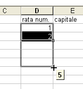 Sempre nello stesso documento creiamo la tabella per calcolare le quote; aggiungiamo i campi numero di rate, capitale rimanente, importo rata, quota dell interesse e quota del capitale.