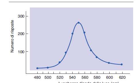 Generalizzazione dello stimolo Si condizionano i piccioni a beccare un disco giallo-verde (550 nm). Una volta stabilizzato il condizionamento se si prenta un disco di colore diverso cosa succede?