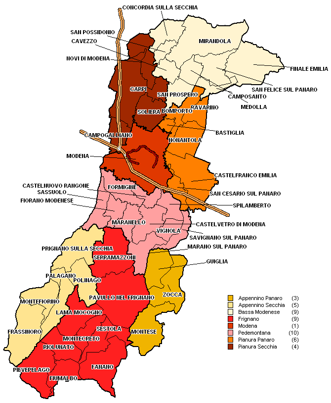 Mercato provinciale Come già indicato nelle precedenti note, in questa seconda sezione, viene analizzato l intero territorio della provincia di Modena che con 2.