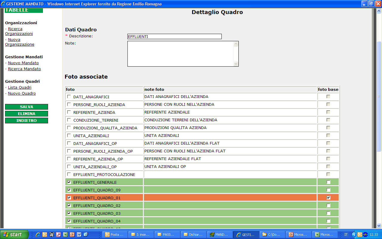 Dettaglio Quadro EFFLUENTI Il Servizio Applicativo EFFLUENTI è composto dalle foto (oggetti)