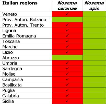 Risultati - Nosema 2010 North Italy Central Italy South Italy Nosema apis 0% campioni positivi campioni negativi Negative samples 58% Nosema ceranae 42% Ricerca