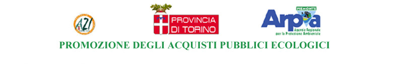 PROGETTO A.P.E. Finanziato dalla Provincia di Torino Ass.