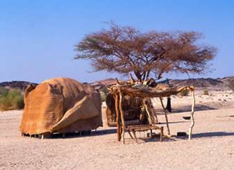 13 I lorries sono gli abituali mezzi di trasporto nei deserti sudanesi, spesso