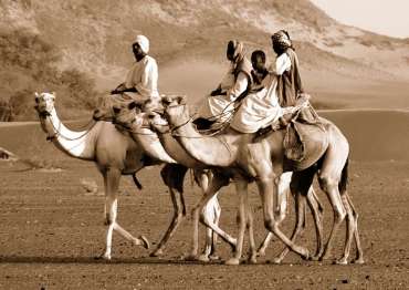 16 Lungo le vallate del deserto nubiano è facile trovare piccoli insediamenti di gruppi di nomadi Beja delle tribù Bisharin e Hadendowa, con le loro piccole greggi di capre le semplici capanne in