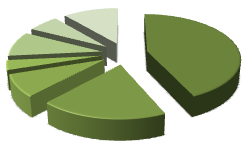 Graf. 11 Distribuzione ore erogate infermieri 2011 Ore erogate Infermieri 2011 Salerno 13% Avellino 17% Napoli 3 Sud 20% Benevento 20% Napoli 1 11% Caserta 12% Napoli 2 Nord 7%