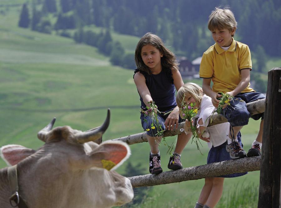 Sviluppo rurale e turismo nella regione alpina Asiago - 11.04.2014 Dott.