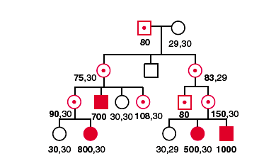 Albero genealogico di famiglia con