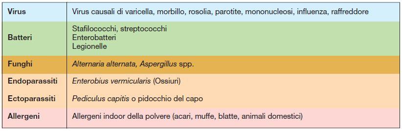 Effetti sulla salute: disturbi alle vie respiratorie; allergie; dermatiti; infezioni; Sick Building Sindrome (SBS); Building Related Illness (BRI); Prevenzione e protezione: formazione e