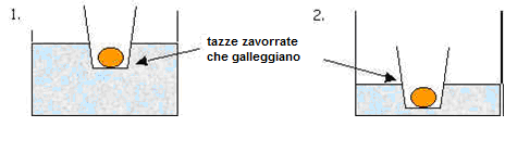 Nota: l'esperimento può essere ripetuto con un oggetto che affonda Attività 4: Come la densità del liquido influenza il galleggiamento Workshop 1 Un oggetto galleggia più facilmente in acqua salata