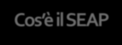 Cos è il SEAP È uno strumento operativo che definisce le politiche energetiche del Comune di Pisa Si basa sui risultati della «Baseline Emission Inventory» (BEI), che costituisce una fotografia della