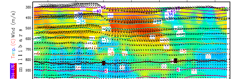 LA REANALISI QUALI SONO GLI OUTPUT Gli output di una Reanalisi sono tutti i parametri meteorologici di una determinata coordinata geografica a partire dalla altezza del suolo sino alla stratosfera